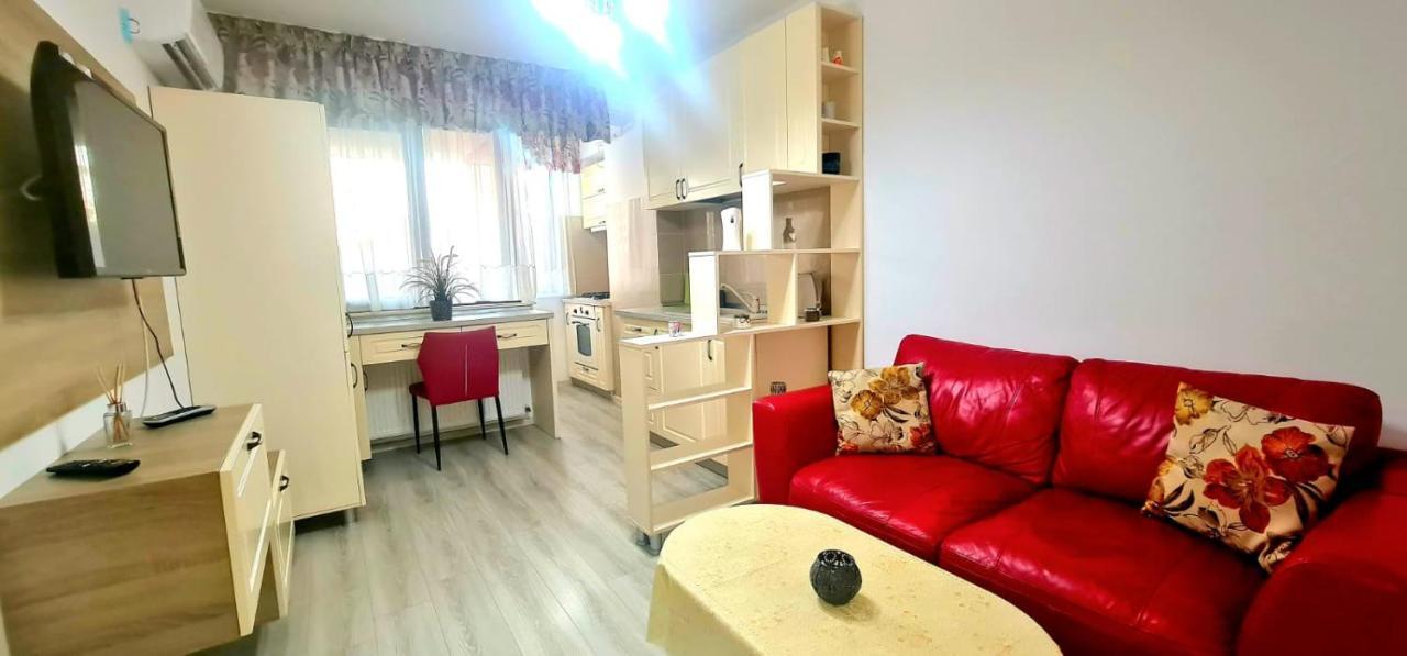 Elyse Comfortable Apartment Close To Palas Mall Iasi Exterior foto